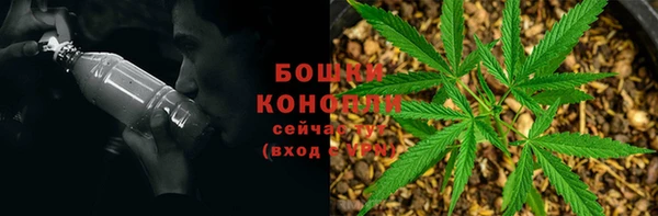 дживик Аркадак