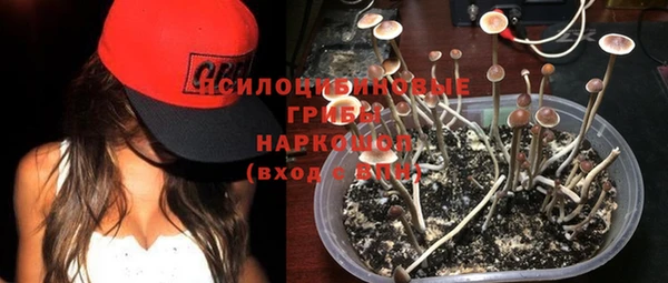дживик Аркадак