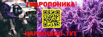 гашик Можайск