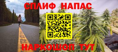 PSILOCYBIN Моздок