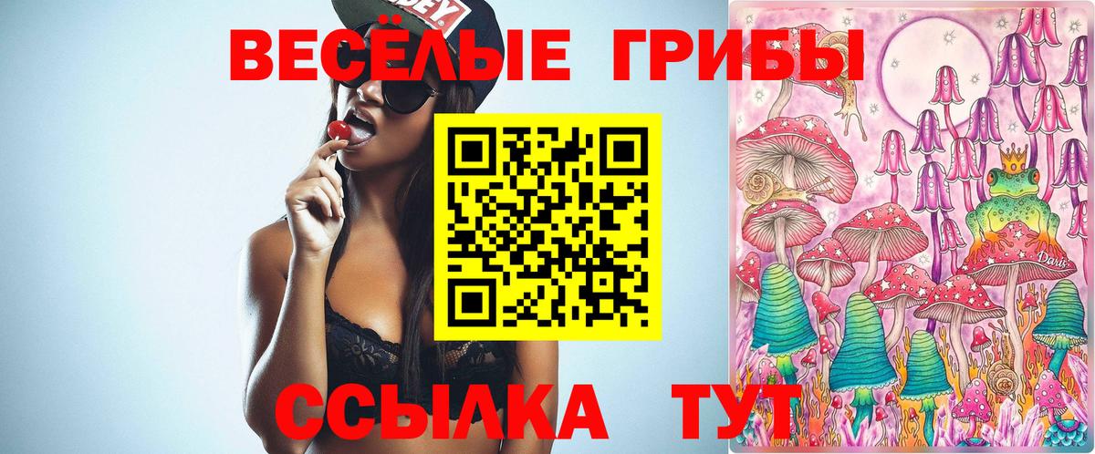 Псилоцибиновые грибы мухоморы Новороссийск
